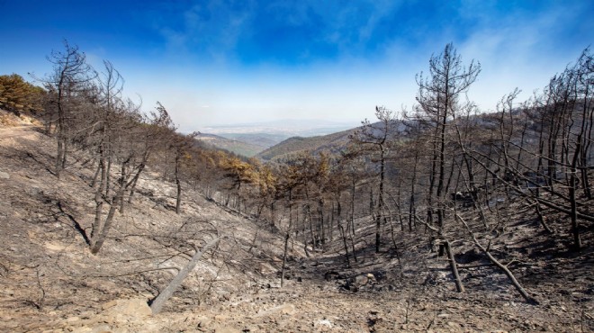 Büyük Yangın ın yıldönümünde Büyükşehir’den Orman İzmir raporu
