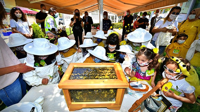 Büyükşehir den  arılar olmazsa  etkinliği
