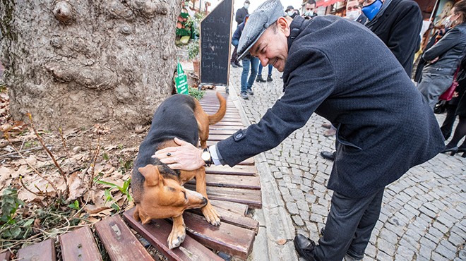 Büyükşehir den sokak hayvanları için örnek iş birliği