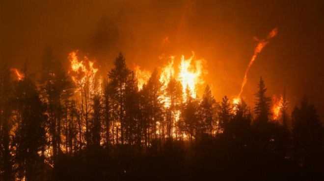 California yangınlarla boğuşuyor
