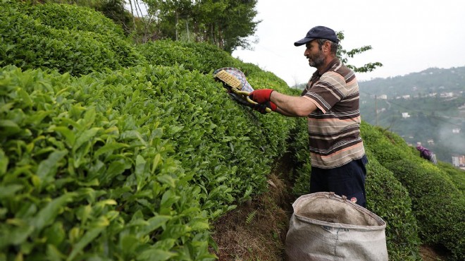 Çay Sokağı konutlarına çay üreticilerinden destek