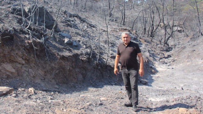 CHP li Serter’den hükümete yangın tepkisi!