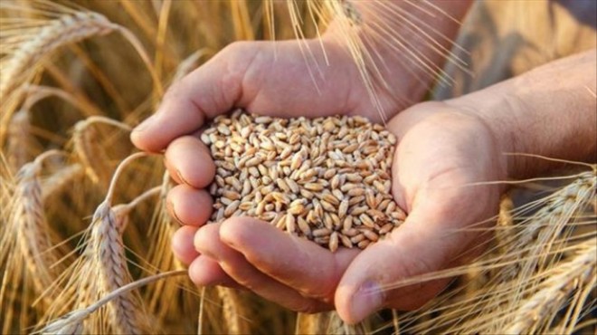 Çiftçilere buğday ve arpa desteği