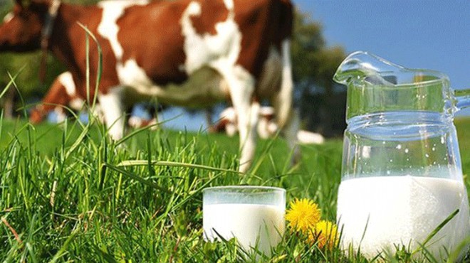 Çiğ süt desteğinde fatura düzenlemesi