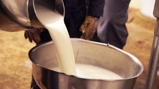Çiğ süt destekleme primi 40 kuruşa yükseldi