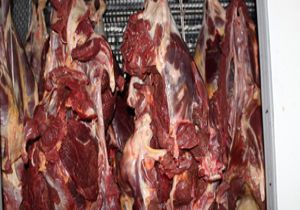 İzmir’de at eti baskını: Piyasaya sürmek için hazırlanmış… 