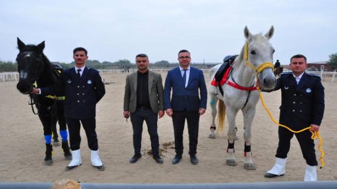 Cumhurbaşkanlığı Muhafız Alayı nın 4 atı Manisa da görev yapacak