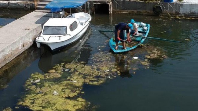 Dalyan Kanalı ndan 10 ton atık çıkarıldı