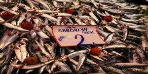 ‘Deniz kenti İzmir balık yemiyor!’