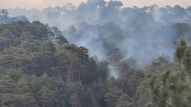Denizli deki orman yangınında 5 hektar zarar gördü