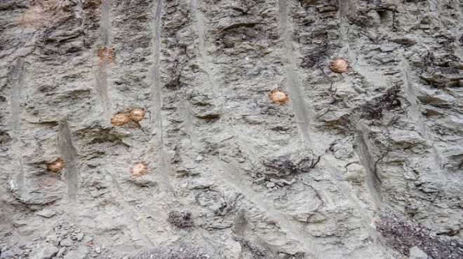 Ege kentinde Roma dönemine ait taş gülleler bulundu