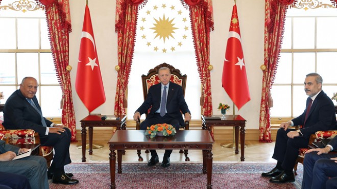 Erdoğan, Mısır Dışişleri Bakanı ile görüştü