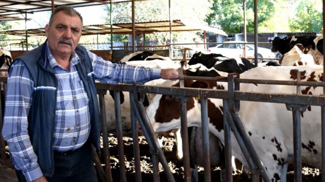 Eskiyörük ten süt fiyatı yorumu: Devlet, üreticiden 20 kuruşu sakınıyor!