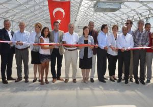 İzmir’e 2 büyük müjde: Geleceği kurtaracak tesis ve tramvay 