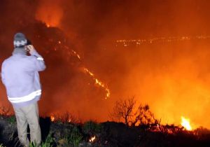 Turizm cennetinde alevlerle yılbaşı: Havai fişek ormanı yaktı! 
