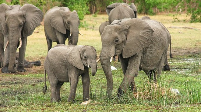 Fillerin 4 saatten fazla çalıştırılması yasaklandı!