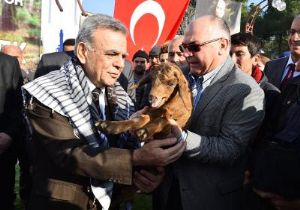 Türkiye de bir ilk: Ücretsiz küçükbaş hayvan 