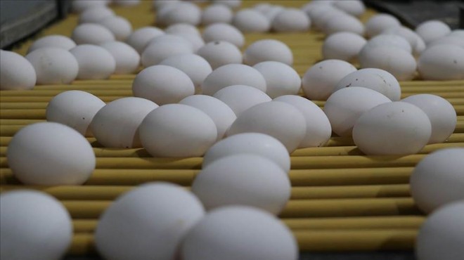 Gıda Mühendisleri Odası, bakanlığa sordu: Kanserojen yumurtalar ne oldu?