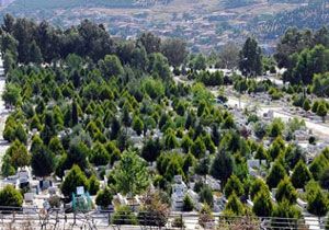İzmir in mezarlıkları güzelleşsin diye vakıf kuruldu!