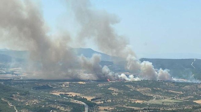 İzmir de orman yangını kontrol altına alındı!