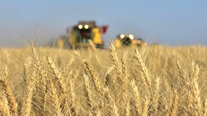 İklim krizi:  10 yıl içinde tarımsal çöküş yaşanabilir 