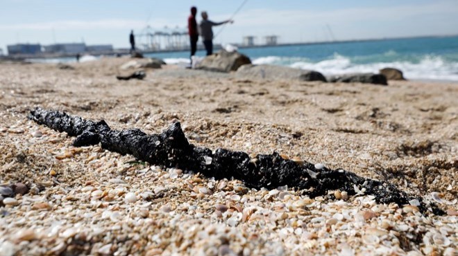 İsrail de petrol sızıntısı: Deniz canlıları risk altında