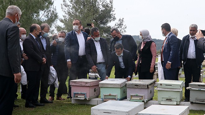 İzmir de 100 Roman kadına, 1000 arı kovanı