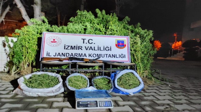 İzmir de 15 kilo esrar, 862 kök Hint keneviri ele geçirildi