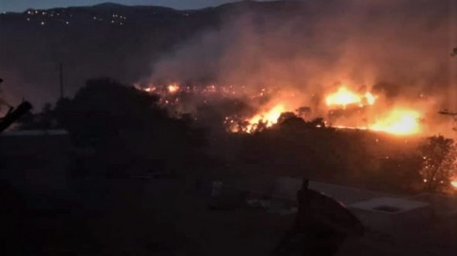 İzmir de 40 dekar ağaçlık alan yandı