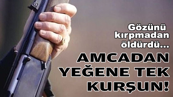 İzmir'de amca cinayeti... Gözünü kırpmadan öldürdü!