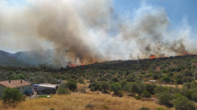 İzmir de bir günde iki orman yangını!