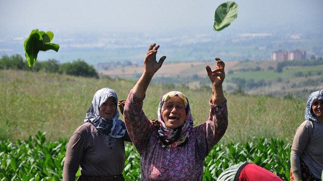 İzmir’de bir ilçede tarım resmen bitiyor… Tek direnen kadınlar!