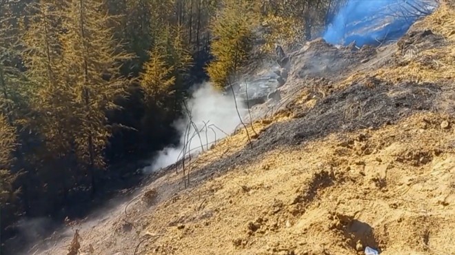 İzmir de çıkan orman yangını söndürüldü
