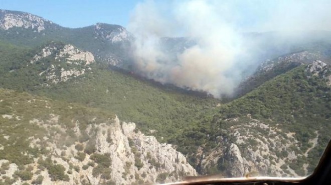 İzmir in iki ilçesinde orman yangını!