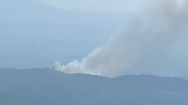 İzmir de korkutan orman yangını kontrol altında!