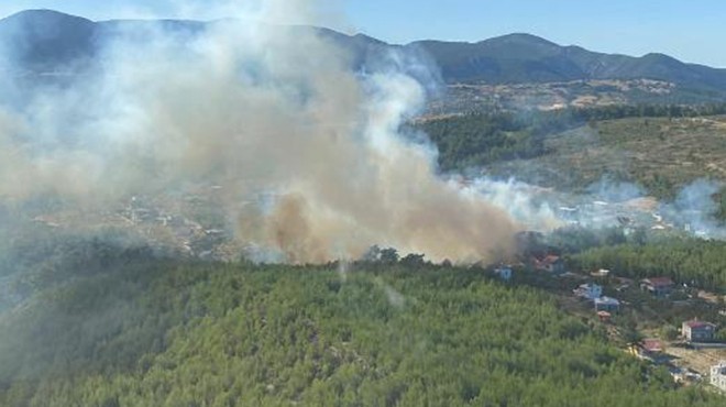 Arıları sakinleştirirken ormanı yaktı... İzmir de korkutan yangın!