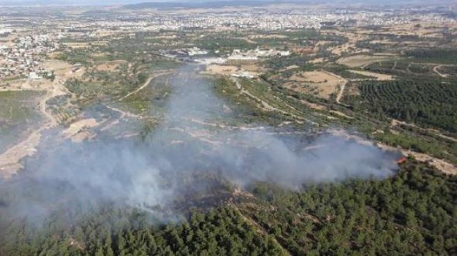 İzmir de korkutan yangın: Orman küle döndü!