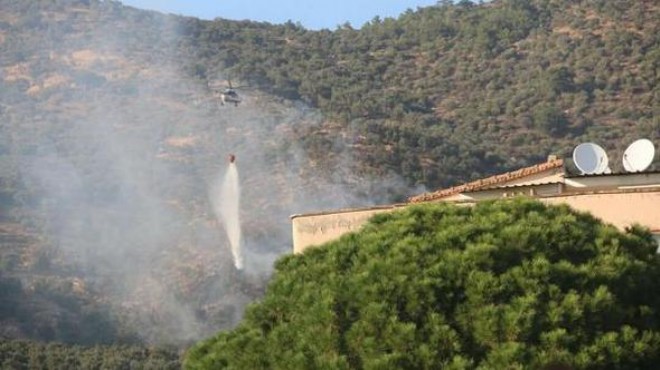 İzmir de korkutan yangın: Zeytinlik kül oldu!