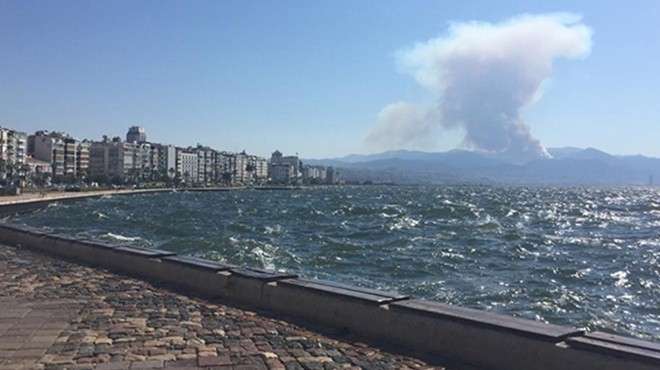İzmir de korkutan orman yangını: Alevler kontrol altına alındı!