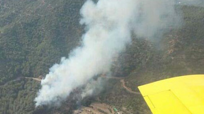 İzmir de orman yangınına jet müdahale!