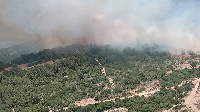 İzmir de çıkan orman yangını kontrol altına alındı