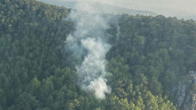 İzmir de orman yangınına jet müdahale!