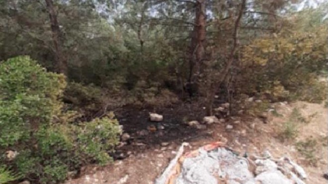 İzmir de ormanı yakan PKK üyesi tutuklandı