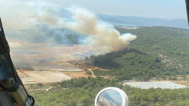 İzmir de ormana sıçrayan yangın kontrol altında!