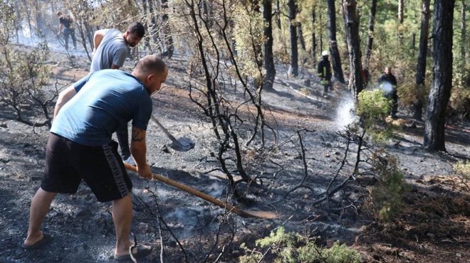 İzmir de yangınlara karşı Orman Gönüllüleri Ekibi kuruluyor