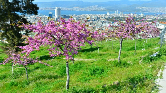 İzmir de  yeşil  seferberlik: 3 yeni kent ormanı daha geliyor