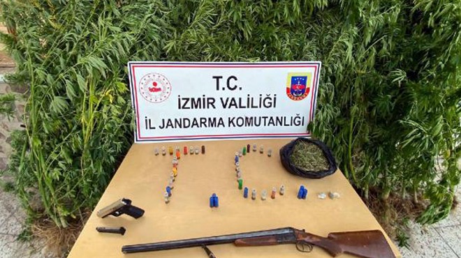 İzmir de zehir tacirlerine operasyon: 12 tutuklama!