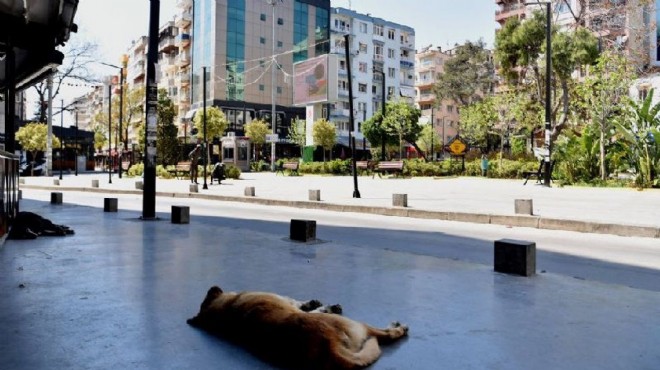 İzmir’in hava raporu: Sıcaklıklar tavan yapacak!