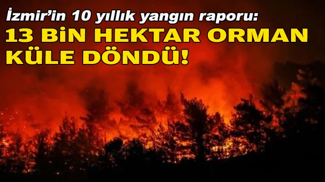 İzmir'in yangın raporu: 10 yılda 13 bin 547 hektar küle döndü!