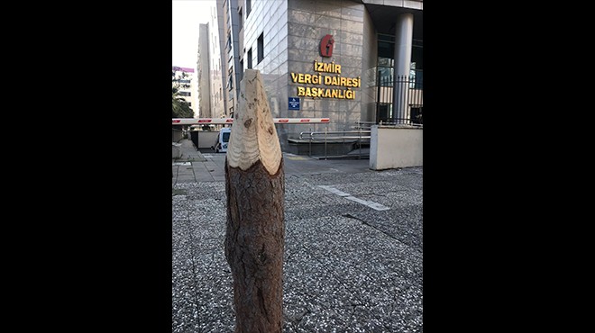 İzmir Vergi Dairesi’nin önüne ‘kazık’ bırakıldı